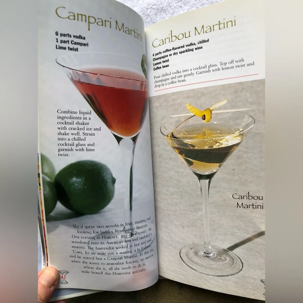 Z Gallerie Martini Book